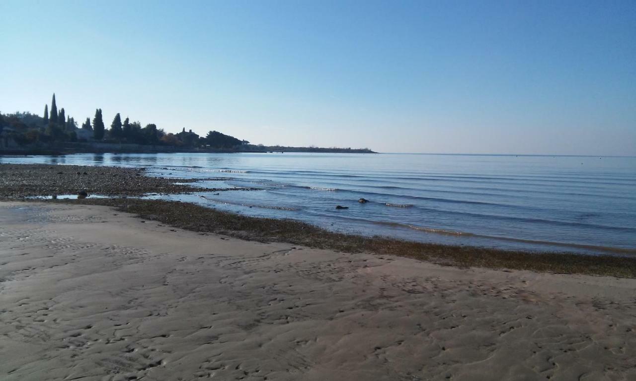 דירות Novigrad Istria Delfin מראה חיצוני תמונה