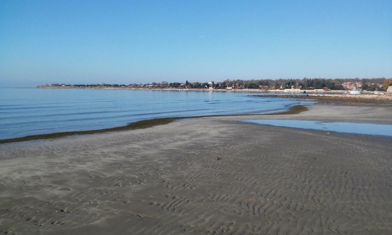 דירות Novigrad Istria Delfin מראה חיצוני תמונה