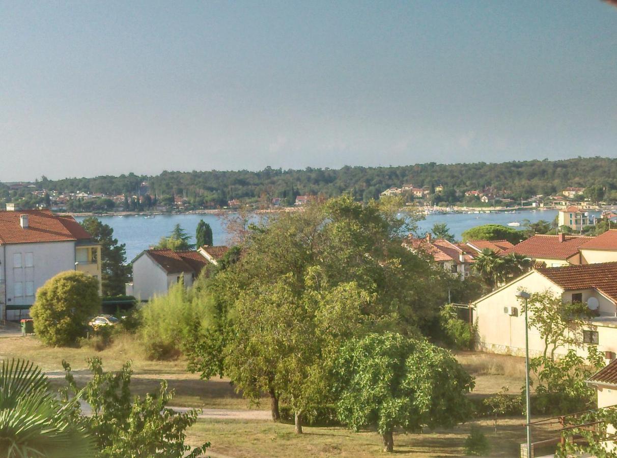 דירות Novigrad Istria Delfin מראה חיצוני תמונה